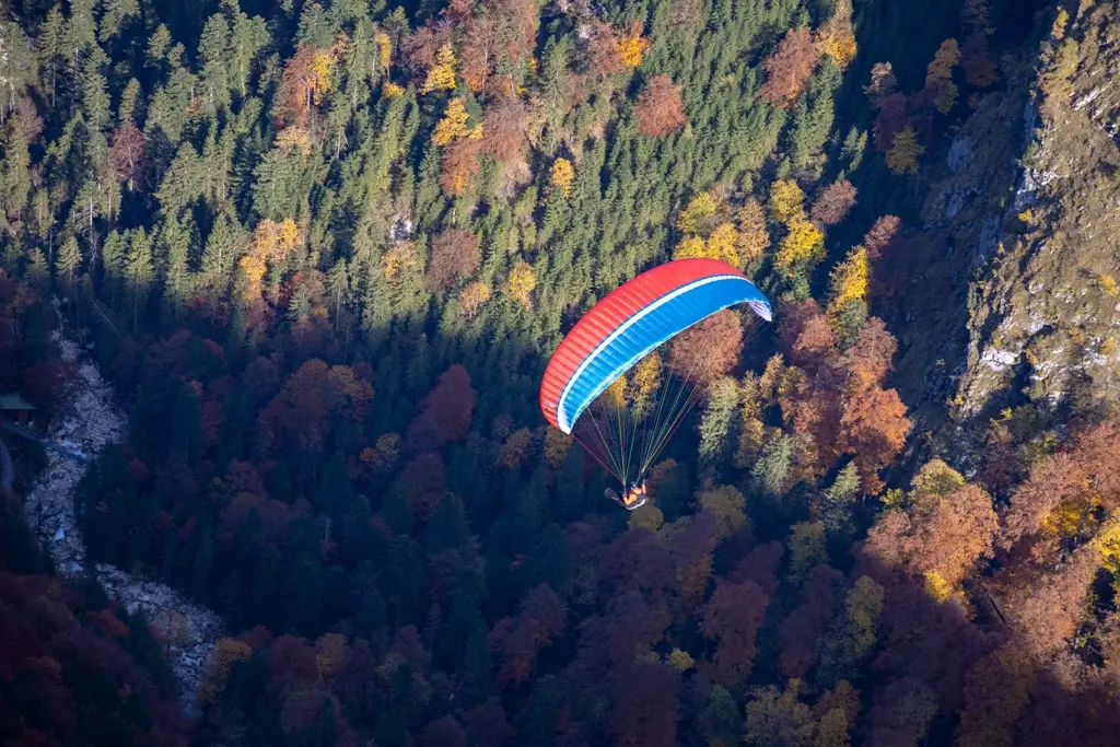 UP_DENA_EwaKorneluk_Garmisch_2.webp